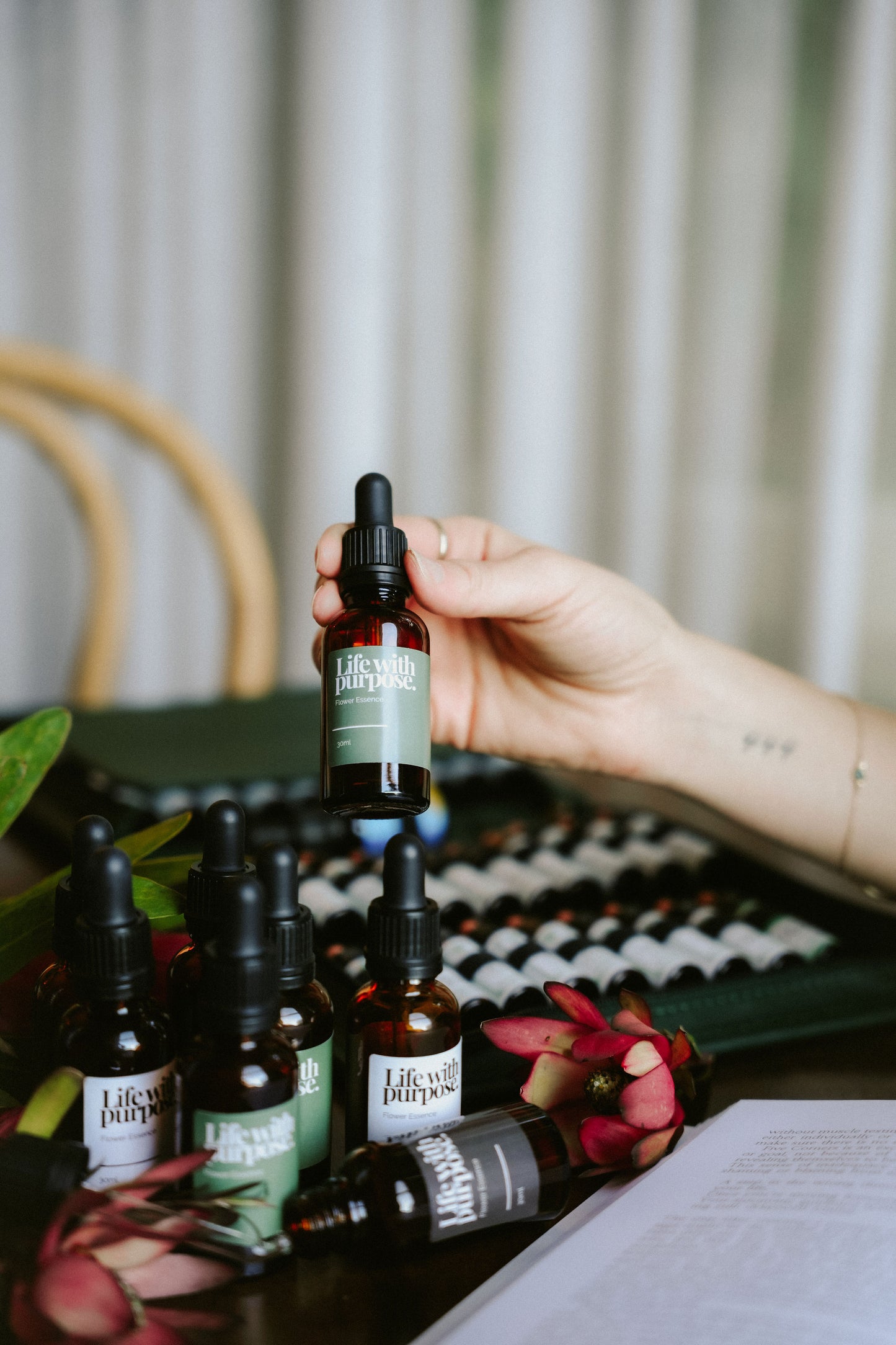 Focus - Flower Essence 30ml
